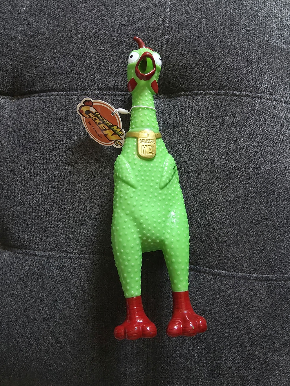Squeaky Green Chicken Toy